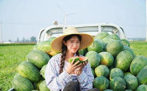 麦小登吃瓜,揭秘娱乐圈那些不为人知的幕后故事