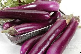 茄瓜能怎么吃,探索无尽美味可能