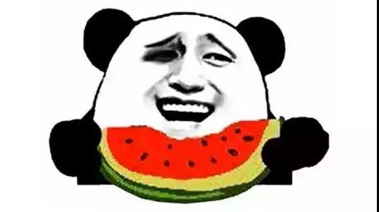 吃瓜群4488669,一场全民参与的娱乐盛宴