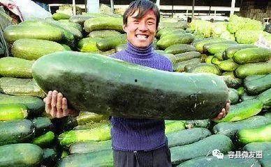 会吃瓜的人,揭秘娱乐圈背后的秘密与真相