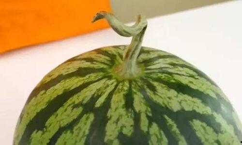 吃瓜看瓜皮,揭秘娱乐圈背后的真相与笑料