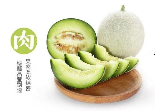 大发吃小瓜,一场美食与文化的盛宴