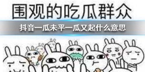 抖音销售吃瓜,吃瓜销售新潮流，瓜界带货达人揭秘