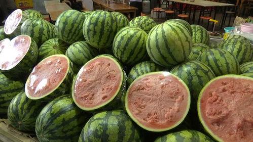 吃瓜卖瓜,吃瓜卖瓜两不误,共享夏日清凉时光