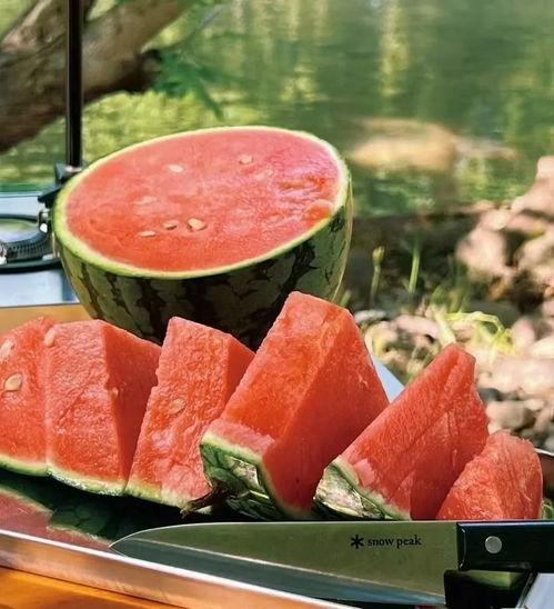 瓜怎么吃就比较吃,解锁夏日美味瓜食新吃法