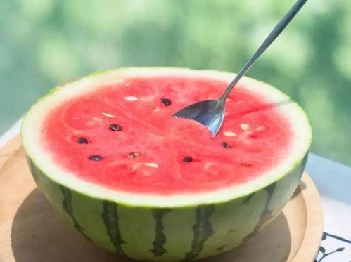 瓜怎么吃就比较吃,解锁夏日美味瓜食新吃法