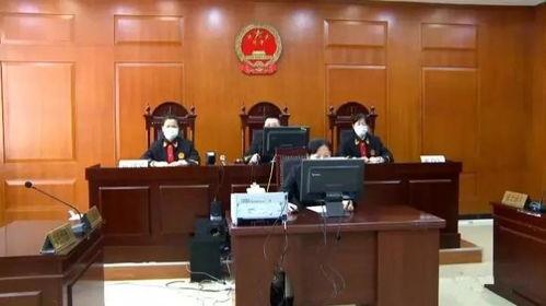 东北庭审法官吃瓜,东北法庭的幽默一幕