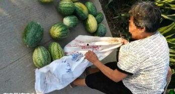 涿州最新吃瓜视频曝光