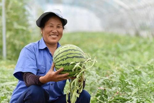 巢湖小学吃瓜,校园里的甜蜜误会